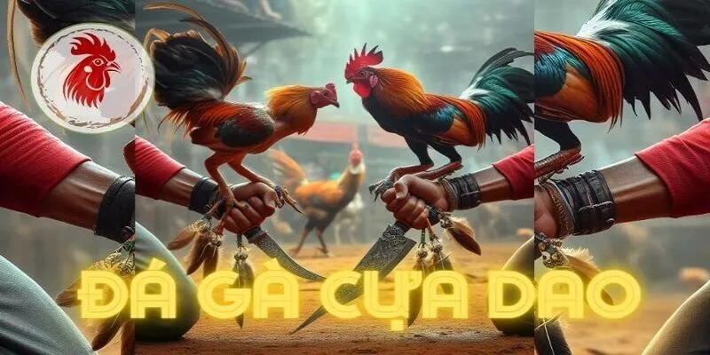 Những game cá cược hấp dẫn tại nhà cái